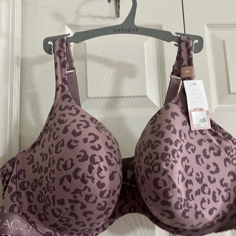 Cacique Purple and Black Full Coverage Bra with Underwire